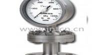 NESSTECH 隔膜式普通壓力表DI?DK?DJ?DH